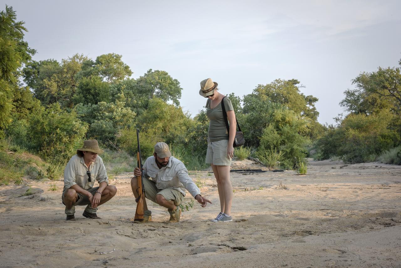 فيلا Klaserie Sands River Camp محمية كلاسيري الطبيعية الخاصة المظهر الخارجي الصورة